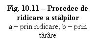 Text Box: Fig. 10.11  Procedee de ridicare a stalpilor
a  prin ridicare; b  prin tarare

